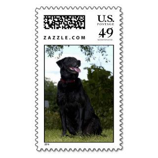 Miss Sally Postage Stamp