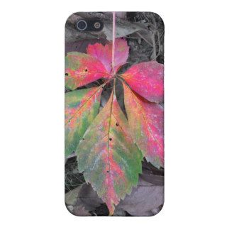 Brilliance Among the Grey   Autumn Leaf iPhone 5 Cover