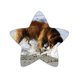 Golden Retriever EVERYBODY STOP I Lost My Contact Star Stickers