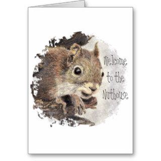 Funny, Welcome to the Nuthouse, Squirrel, Animal Cards