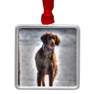 German Longhaired Pointer Dog HDR Photo Ornament
