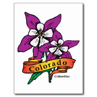 Colorado CO Vintage State Flower Columbine Postcards