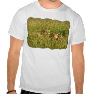 African Lions Resting in Savannah Grass Tee Shirts