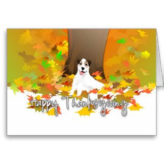 Thanksgiving Card   Jack Russell Terrier Dog
