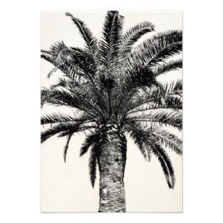Retro Tropical Island Palm Tree in Black and White Personalized Invitations