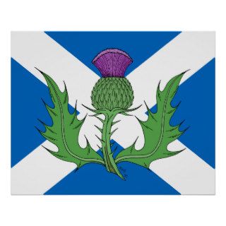 Scottish Thistle Poster