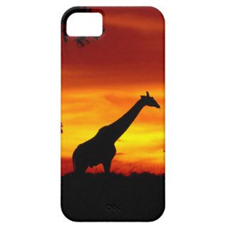 Giraffe Solitary Evening iPhone 5/5S Case