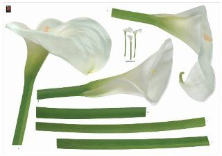 Brewster Plage PL160818 Peel & Stick Arum for Wedding European Wall Decals   Decorative Wall Appliques  