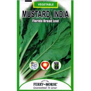 Ferry Morse Florida Broad Leaf Mustard India Seed 1311