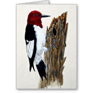 Red headed woodpecker greeting card