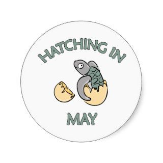 May Due Date Maternity Gifts Round Sticker