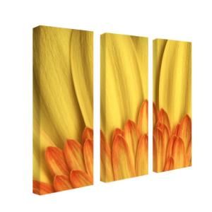 Trademark Fine Art 8 in. x 24 in. Flame by AIANA 3 Piece Canvas Art Set KB007 set