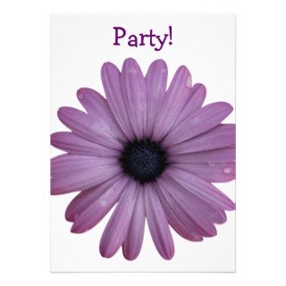 Purple Daisy Like Flower Osteospermum ecklonis Personalized Announcements