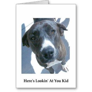 Here's Lookin' At You Kid Greeting Cards