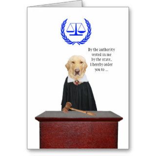 Funny Here Comes the Judge Dog Birthday Greeting Card