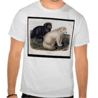 Arctic Fox T shirts