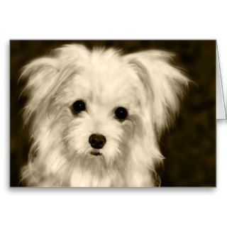 Chinese Crested Powder Puff Greeting Cards