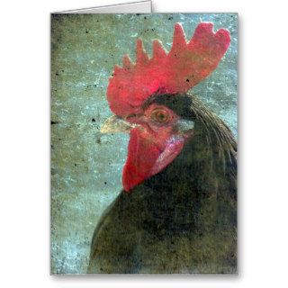 Lakenvelder Rooster With Texture Cards