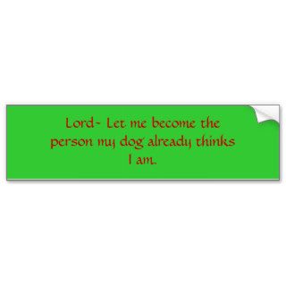 Lord  Let me become theperson my dog already thBumper Sticker