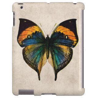 Vintage Butterfly Illustration   Butterflies