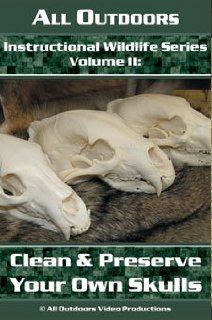 Instructional Wildlife DVD Series Volume 2 Clean and Preserve Your Own Skulls by Alan Probst Alan Probst Movies & TV