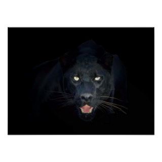 Black panther poster