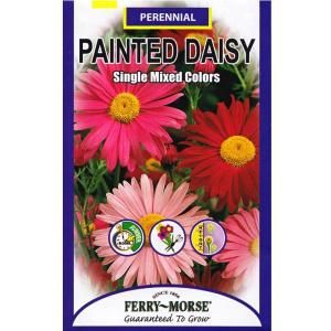 Ferry Morse Painted Daisy Single Mixed Color Seed 1104
