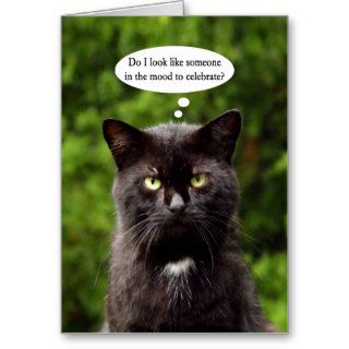 Funny Moody Black Cat birthday card