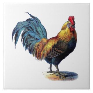 Rooster. Ceramic Tiles