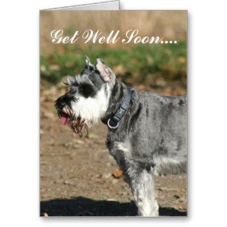 Get Well Soon Schnauzer dog greeting card