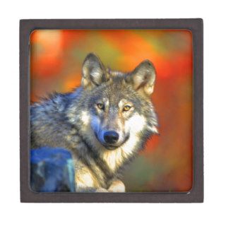 wolf wait for  next opportunity and success premium keepsake box
