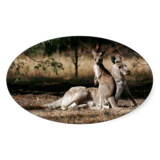 Mother Kangaroo and Joey Relaxing Oval Sticker