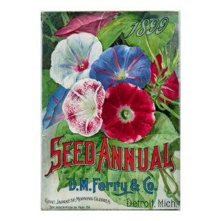 Vintage Seed Catalog, Morning Glories, DM Ferry Posters