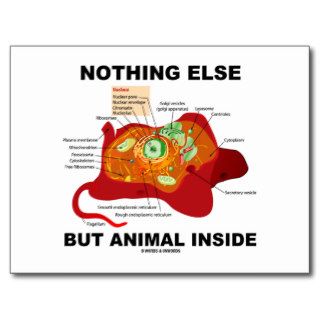 Nothing Else But Animal Inside (Eukaryotic Cell) Post Cards