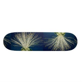 Malabar chestnut, pachira aquatica skateboard decks