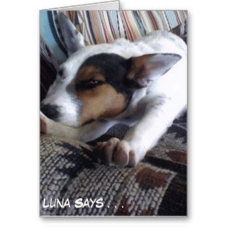 Luna Says Get Well Soon Take Naps Greeting Cards