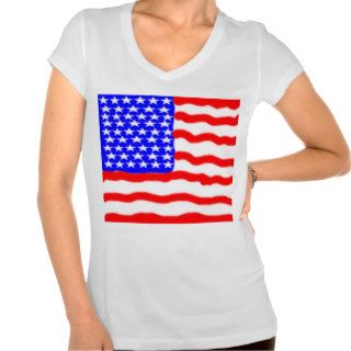 Stylized American Flag Woman's Plus Size T shirt