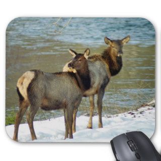 Mother And Baby Elk Mouse Pad