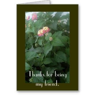 Thanks for being my friend greeting card