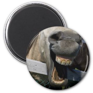Laughing Horse Magnets