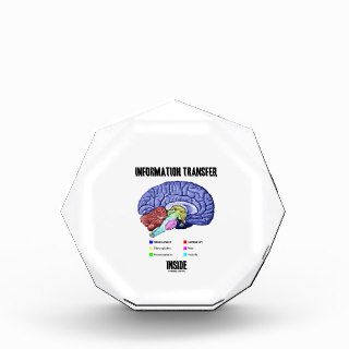 Information Transfer Inside (Brain Anatomy) Awards