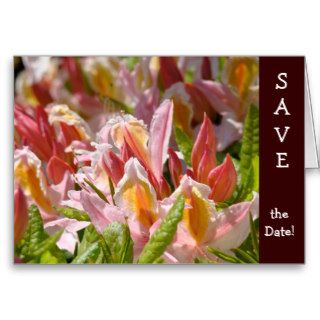 SAVE the Date Cards Weddings Getting Married