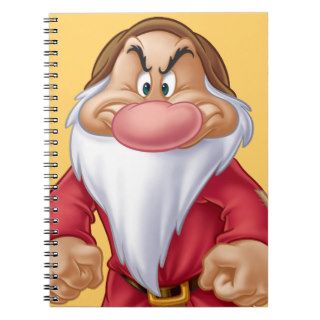 Grumpy 5 spiral notebooks