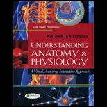 Understanding Anatomy and Physiology   Workbook