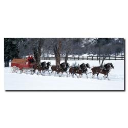 'Clydesdales   in a Snow covered Field with a Fence' Canvas Art Trademark Fine Art Canvas
