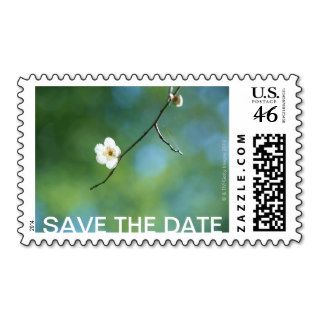 Japanese Plum, Spring Wedding Postage Stamp