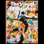 Visual Experience (High School)