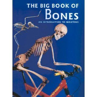 The Big Book of Bones Claire Llewellyn 9780872265462 Books