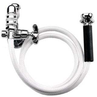 Speakman Commander 1/2 in. NPTF Brass Hose Bib Valve with Spray Assembly in Polished Chrome SC 5912 IS