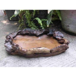 Large Drifter Root Tray (Teak) (4"H x 17"W x 14"D) Kitchen & Dining